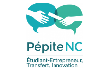 pepite nc logo